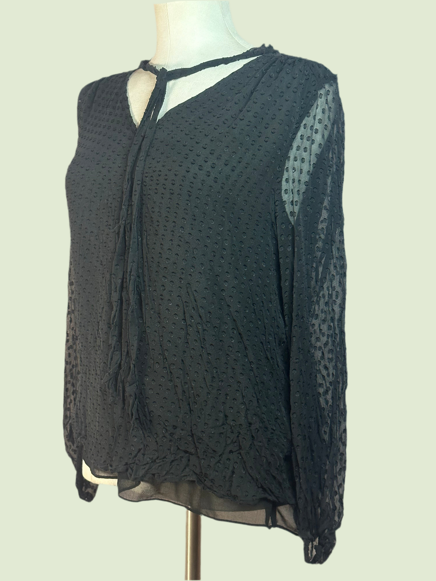Daniel Rainn - Black Blouse
